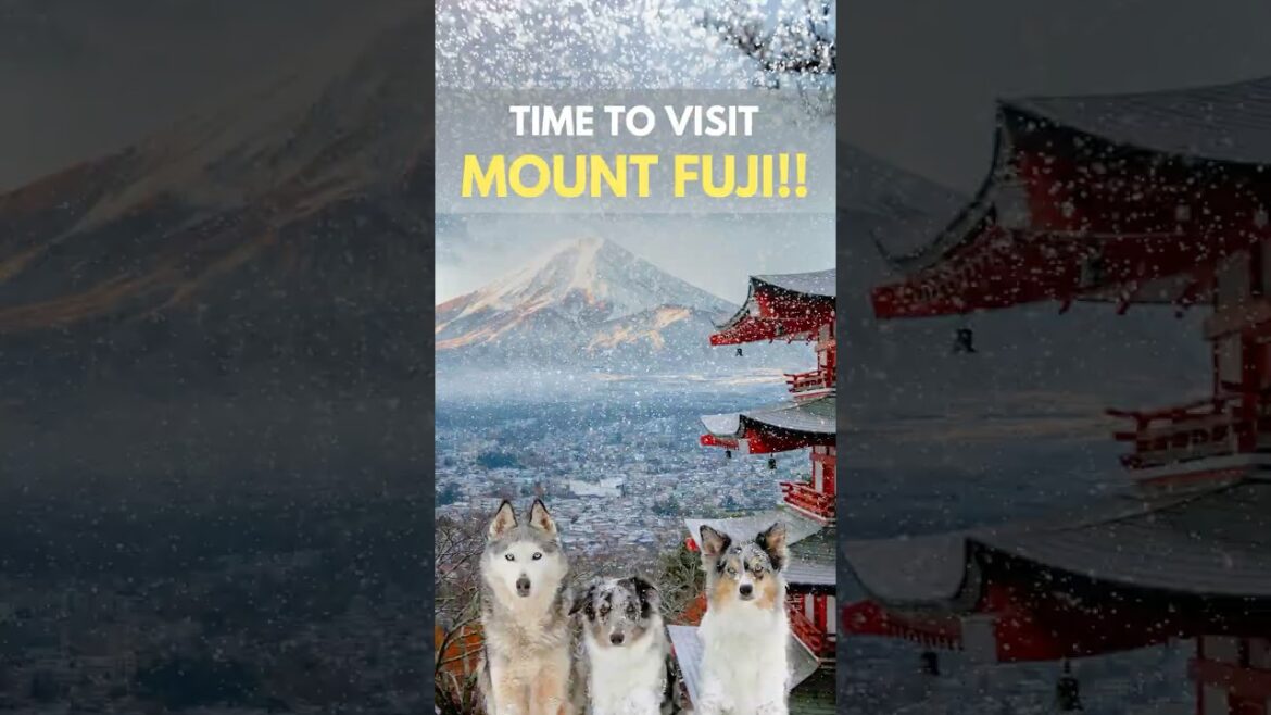 10 Reasons to Visit MOUNT FUJI Now. #shorts