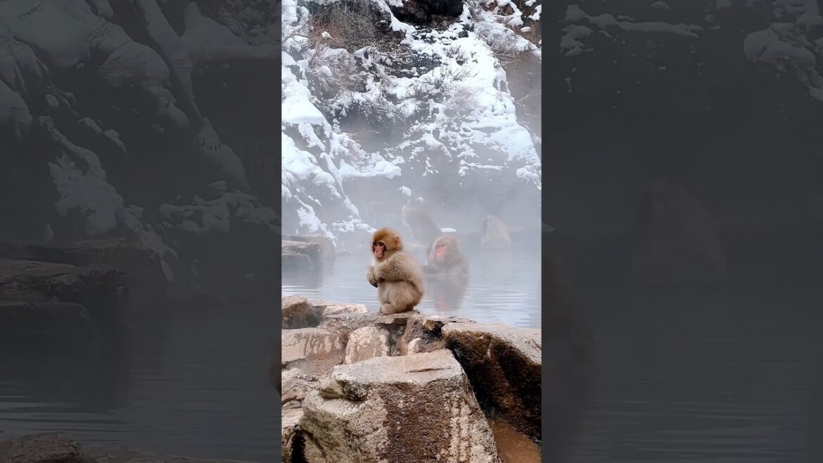 Places On Earth That Don’t Feel Real - JAPAN 🇯🇵 (Part 2)