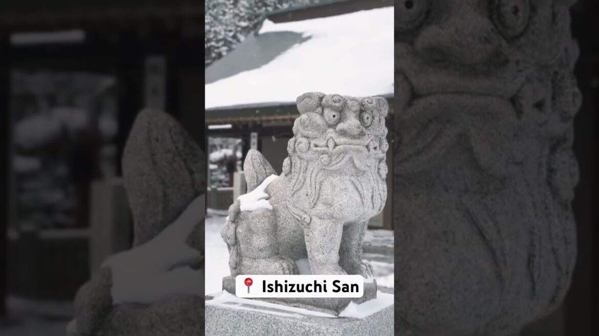 Stop and enjoy this 1 minute in JAPAN 🇯🇵 #discoverjapan #travel