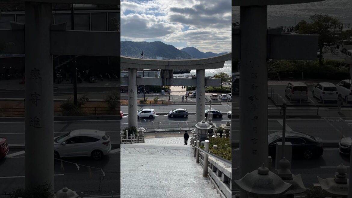 Majestic view from this shrine in Karato ⛩️🇯🇵