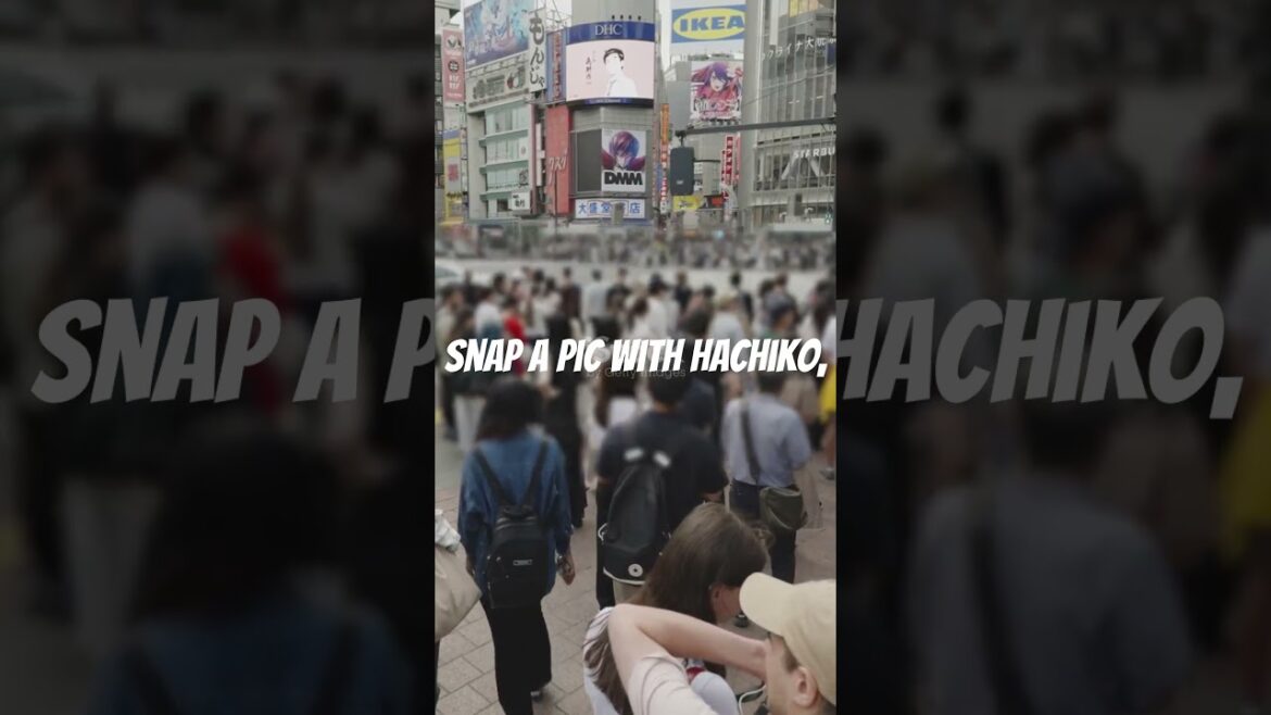 Exploring Shibuya: A Quick Tour! #shibuya #japan #japantravel #tokyo