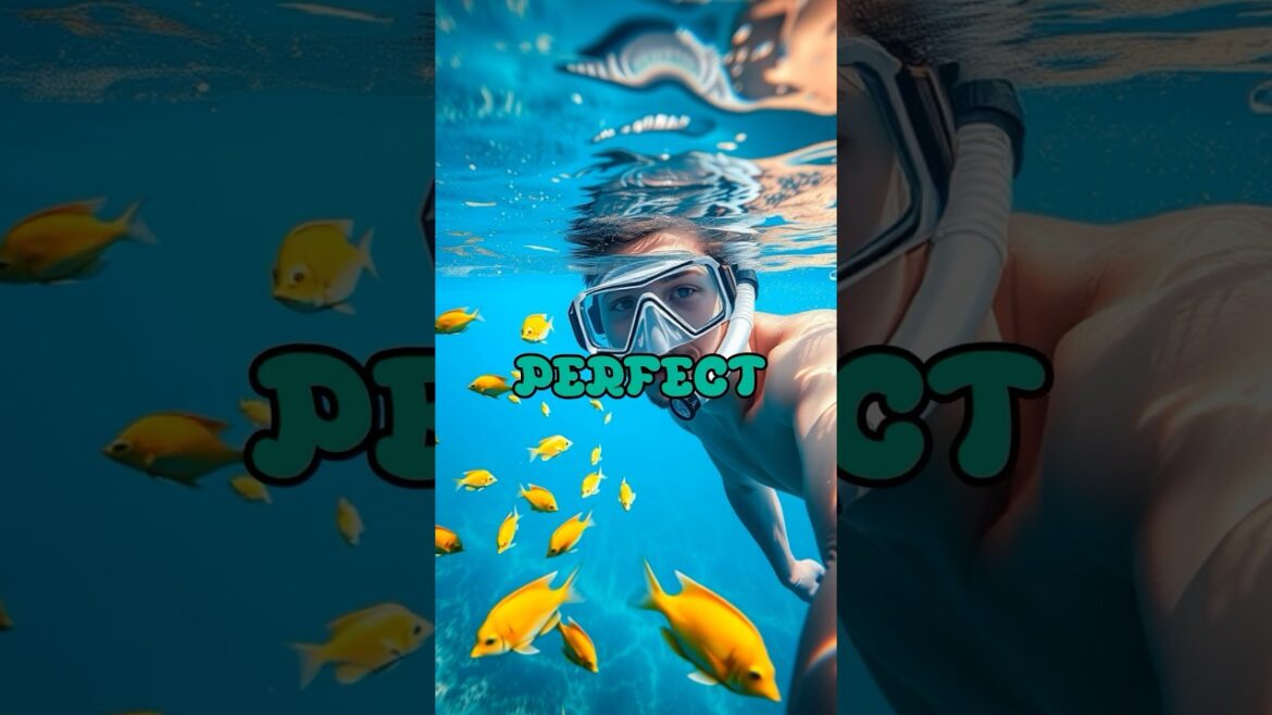 Okinawa: Japan's Tropical Island of Longevity 🏝️🌺