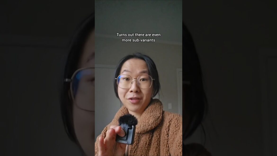 Unsurprisingly, there is lore behind Sapporo miso ramen | Sapporo, Japan