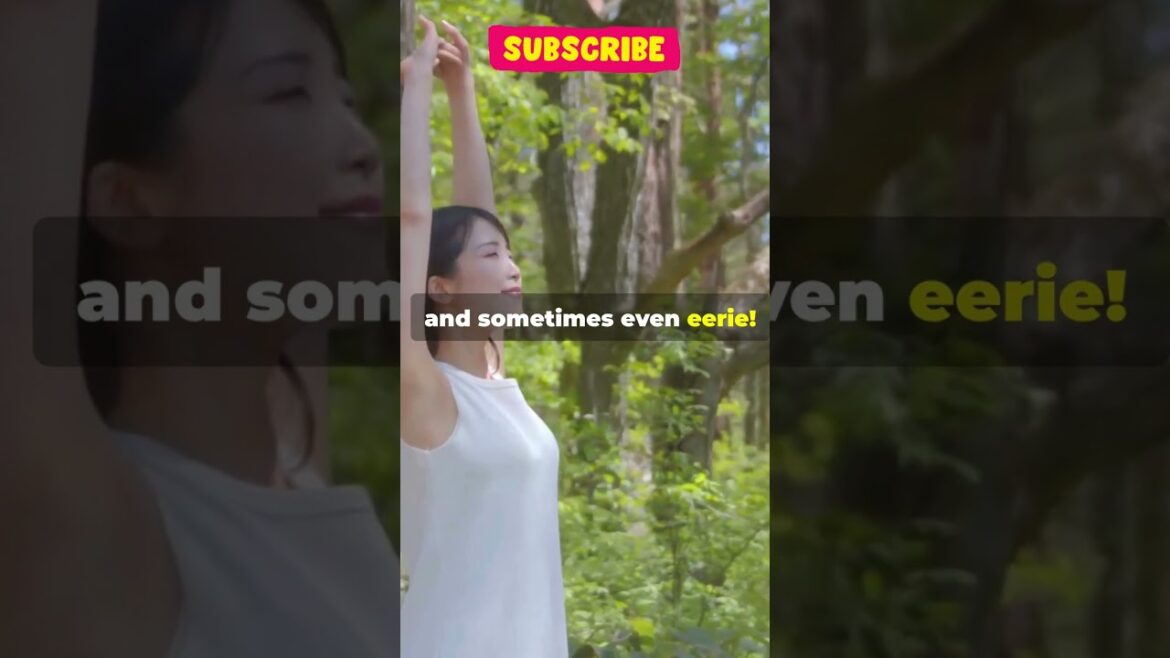 Japan's Mysterious Silent Forest! #shortsviral #shorts