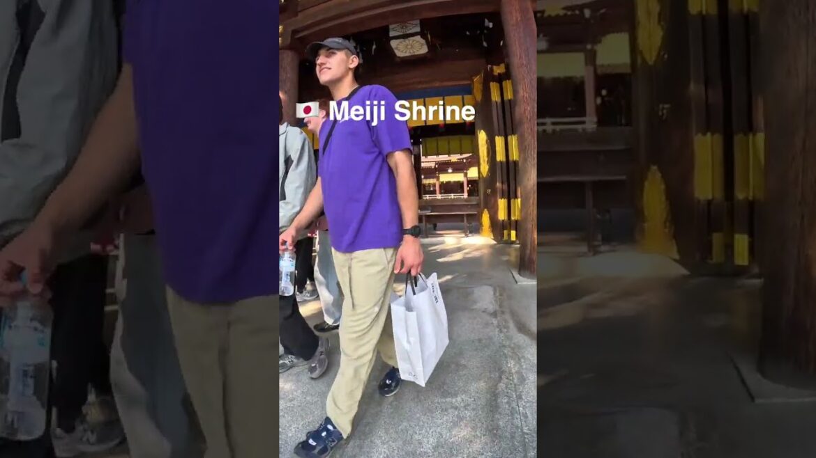 #meijishrine #meijijingu #tokyo #japantravel