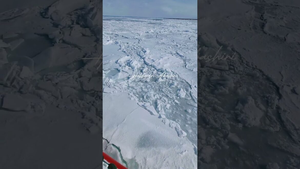 일본 홋카이도 아바시리 유빙 관광 | 쇄빙선 오로라호 탑승 후기🚢❄️ 일본 홋카이도 아바시리 유빙 관광 | 쇄빙선 오로라호 탑승 후기🚢❄️