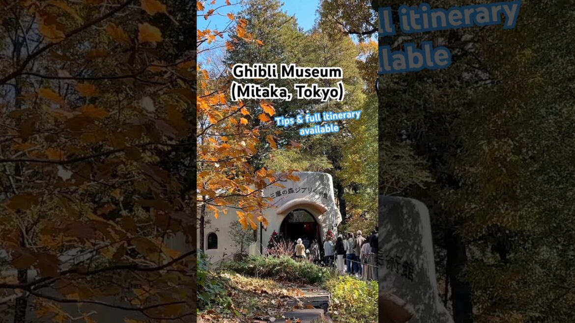 Get all my GHIBLI MUSEUM tips and itinerary in full YouTube video linked here! 🇯🇵✨