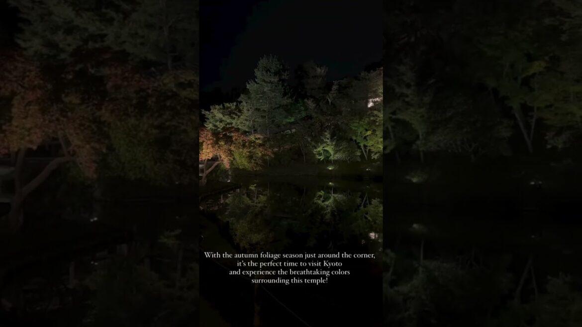 The Hidden Beauty of Kodaiji Temple in Kyoto #shorts The Hidden Beauty of Kodaiji Temple in Kyoto #shorts