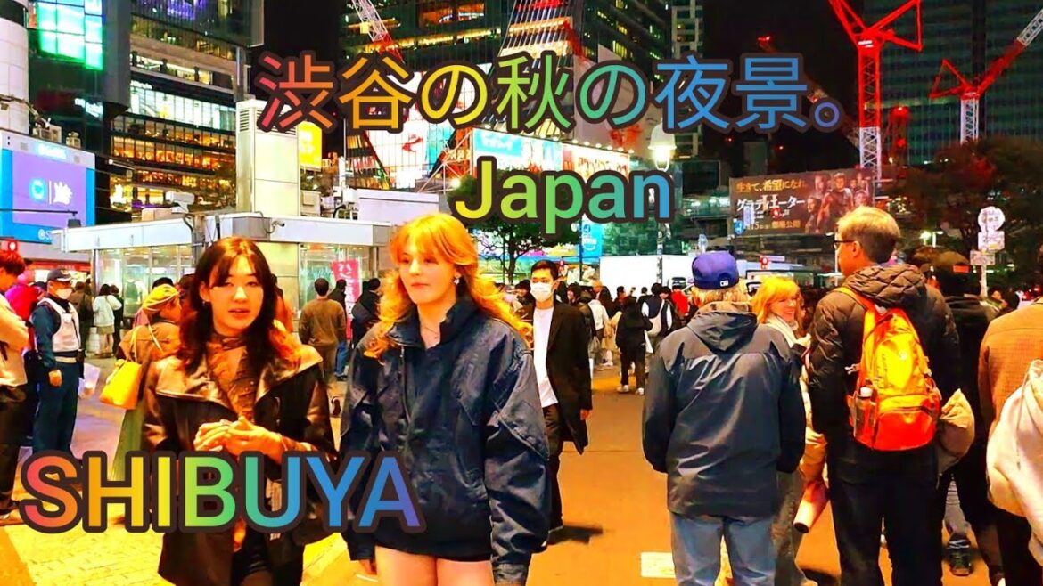 Autumn Night Walking tour in Shibuya.  Tokyo, Japan. 2024