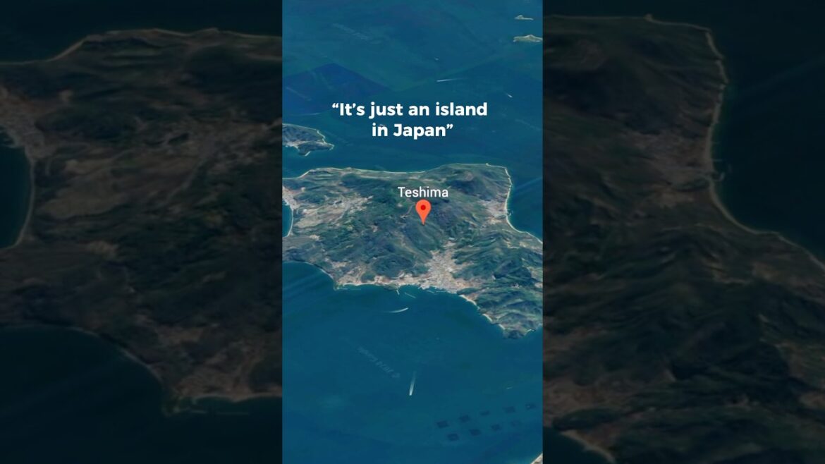 ⬇️Your Ultimate guide to visit Teshima island🏝️