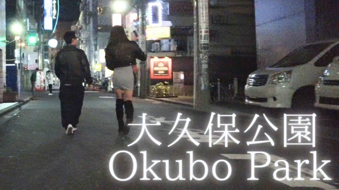 Discover the other side of Japan! A POV walk through Kabukicho at dusk
