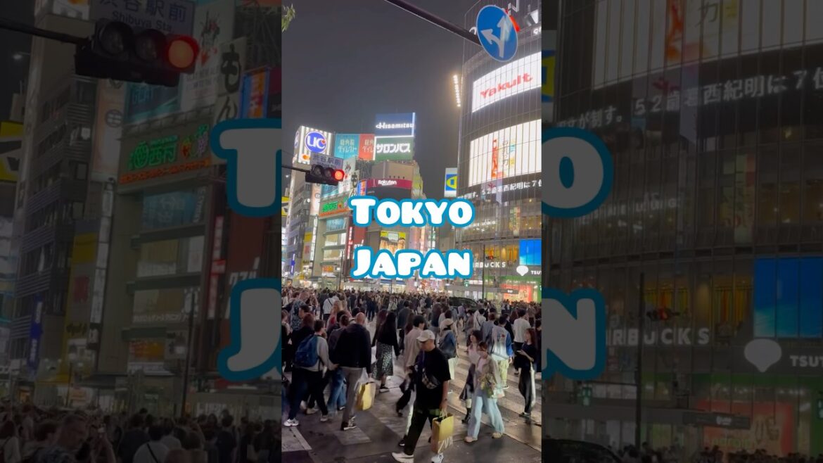 Tokyo Japan (and Mount Fuji) Travel Highlights!