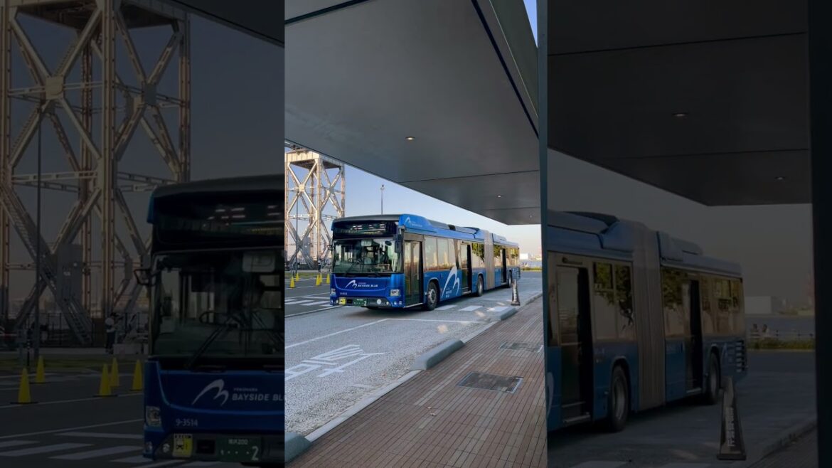 City Tour on Yokohama’s Classic Red Bus - Beautiful Views#japan #views #shorts #video #travel