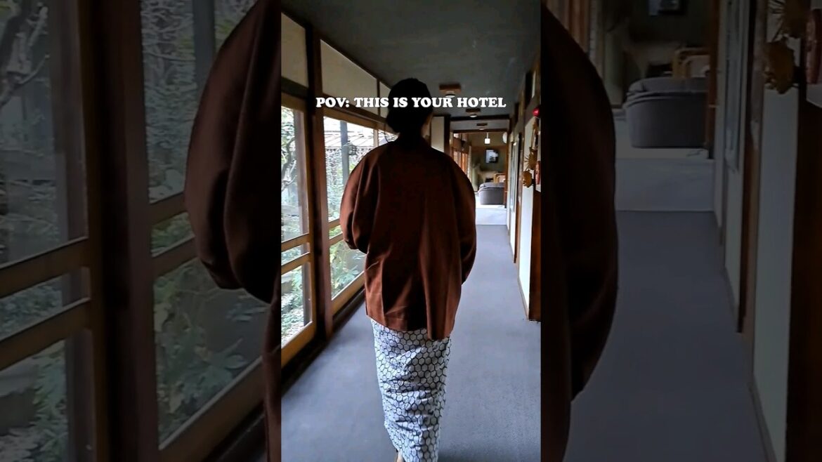 KAMESEI RYOKAN | WALK&SEE #Japan #Ryokan #JoandSee