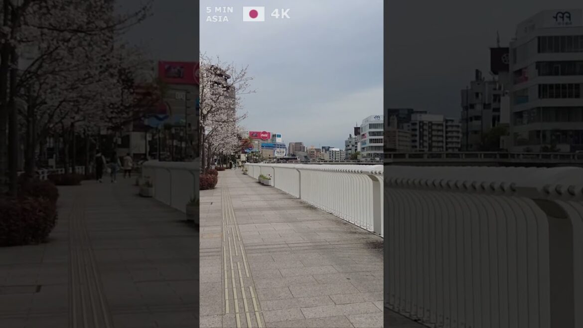 🇯🇵 Visit #Fukuoka in #Japan with us! #Shorts