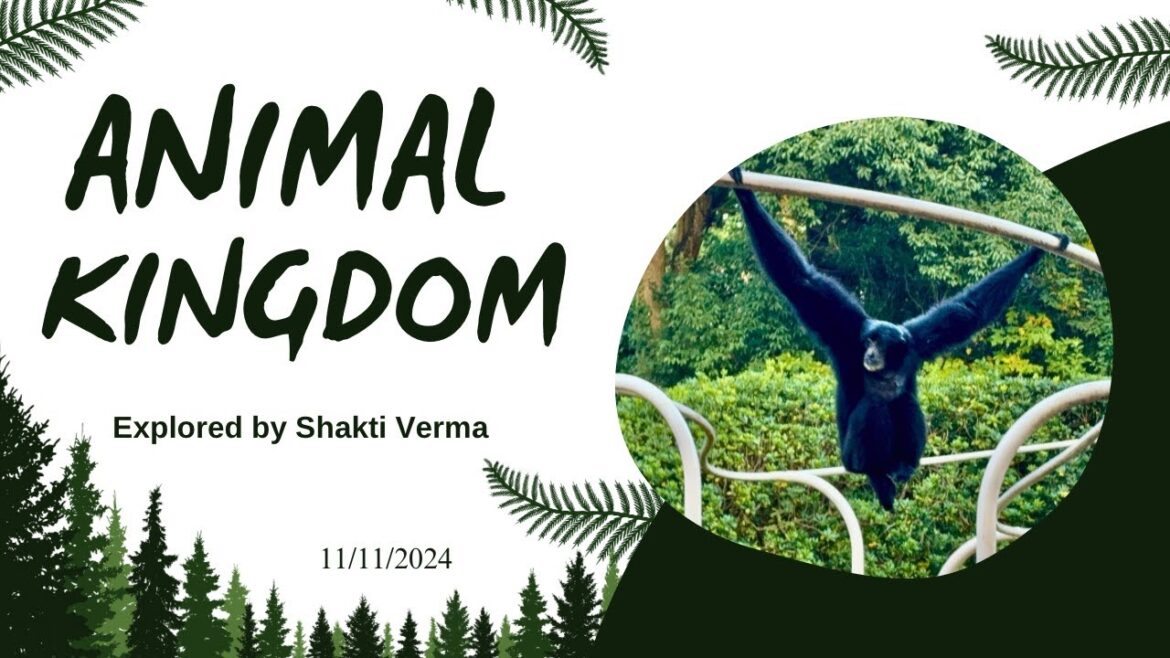 A Day at Zoological Park Japan: Nature’s Wildest Wonders A Day at Zoological Park Japan: Nature’s Wildest Wonders