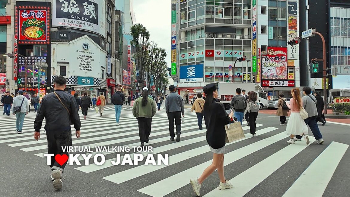 [Full Version] TOKYO CITY WALKING TOUR - Shinjuku, Nishi-Shinjuku and Yoyogi, Japan, Travel, 4K