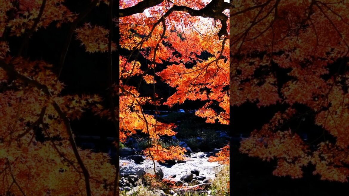 Places That Don't feel Real in Japan #adventure #explore #travel #explore #shorts #japan