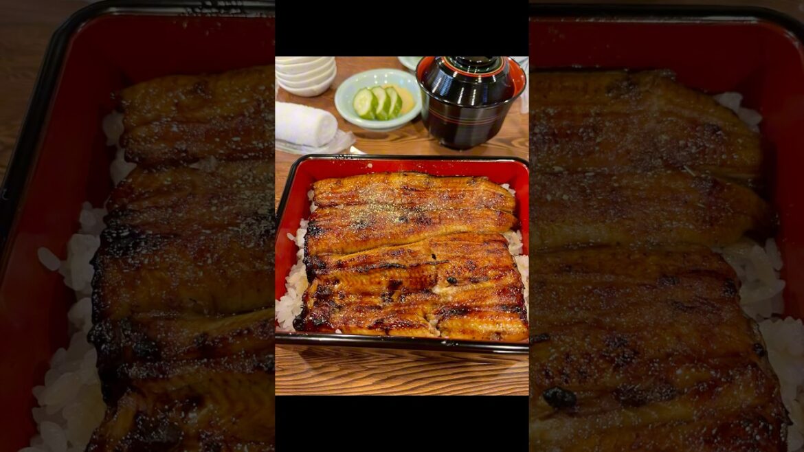 Eel restaurant in Shizuoka Japan