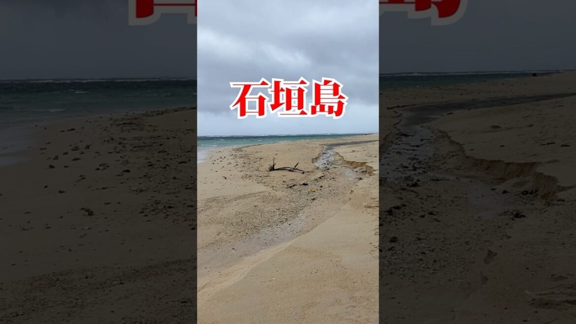 【石垣島】#米原ビーチ #エメラルドの海を見る展望台 #玉取崎展望台