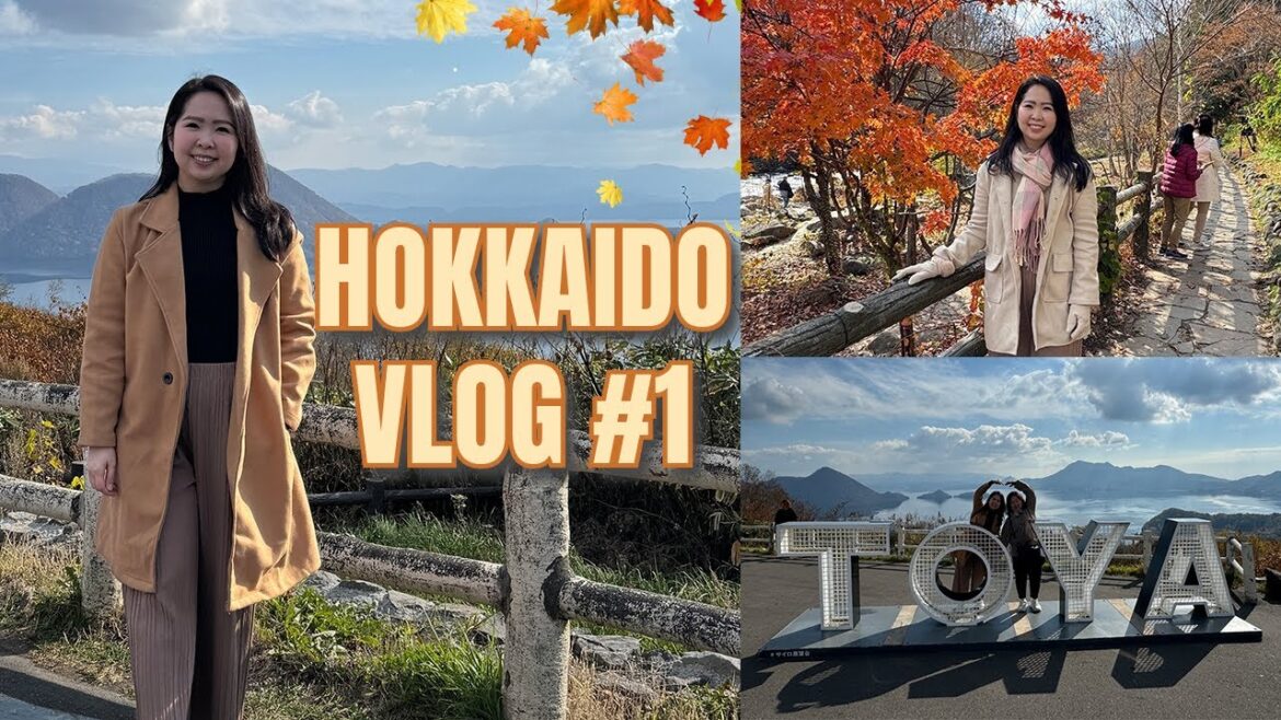 HOKKAIDO – Day tour to Jozankei, Noboribetsu, Lake Toya, Jigokudani, Lake Hill Farm & Bear Ranch HOKKAIDO - Day tour to Jozankei, Noboribetsu, Lake Toya, Jigokudani, Lake Hill Farm & Bear Ranch