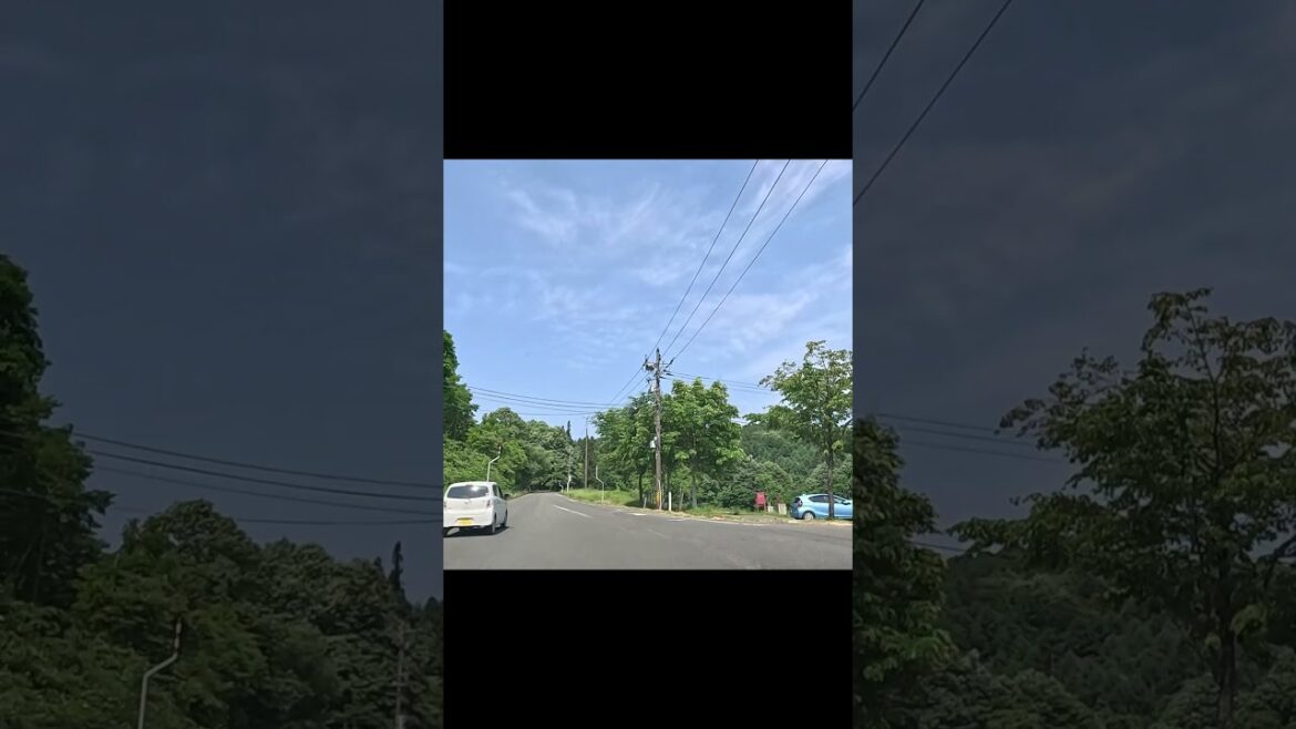 福島ドライブハイライト  #ドライブ #automobile #福島県 #運転 #drive #shorts