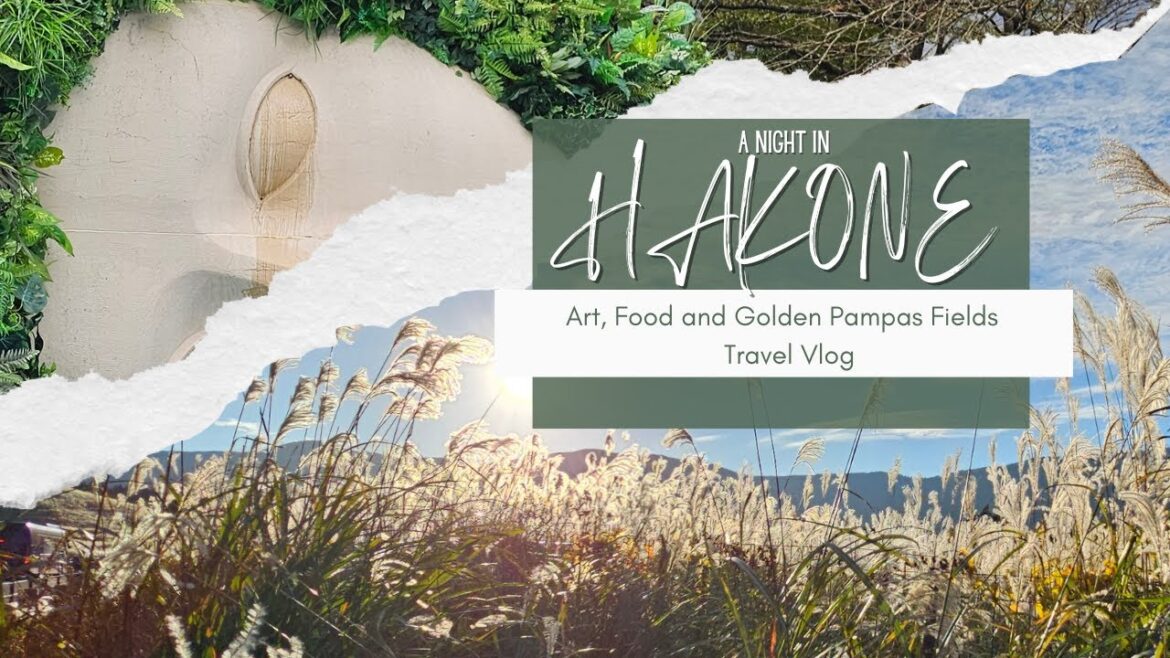 A NIGHT IN HAKONE, JAPAN | Art, Food and Golden Pampas Fields | Travel Vlog A NIGHT IN HAKONE, JAPAN | Art, Food and Golden Pampas Fields | Travel Vlog