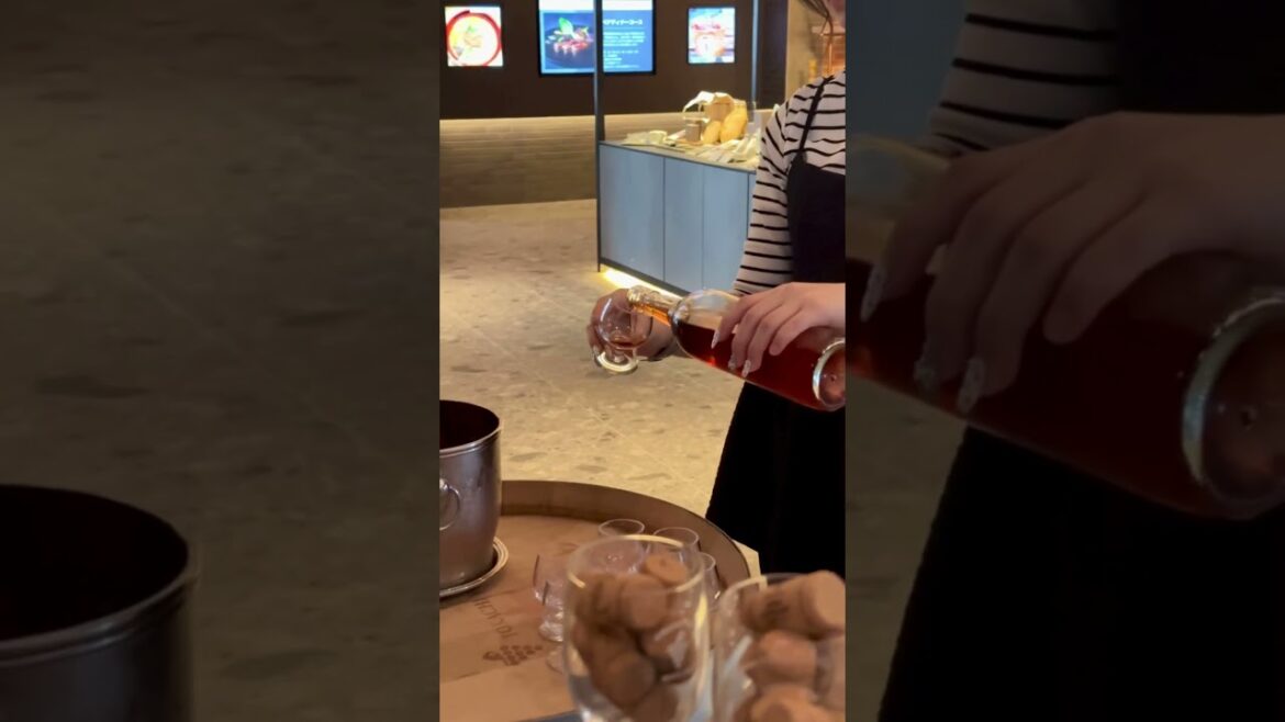 すすきの駅直結のホテル❄️｜SAPPORO STREAM HOTEL