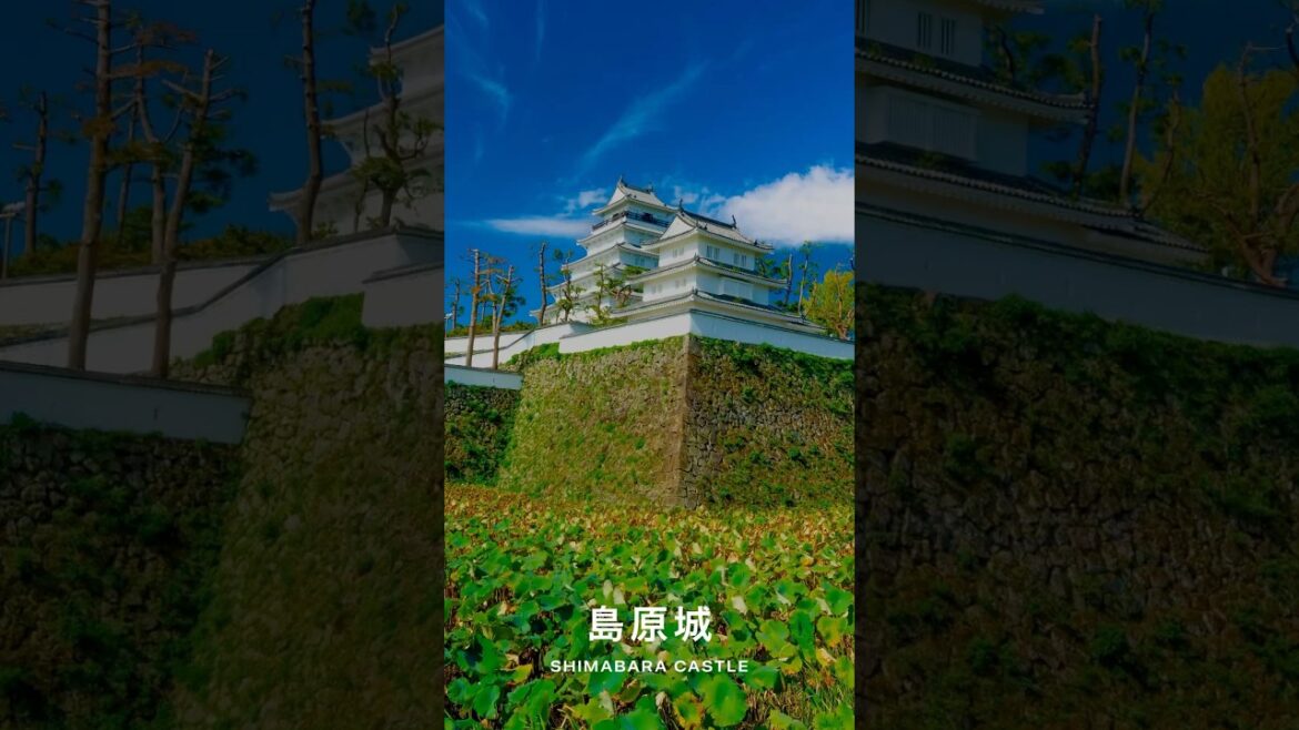 #ShimabaraCastle（ #Nagasaki  ） ｜#Japan #Castle #shorts