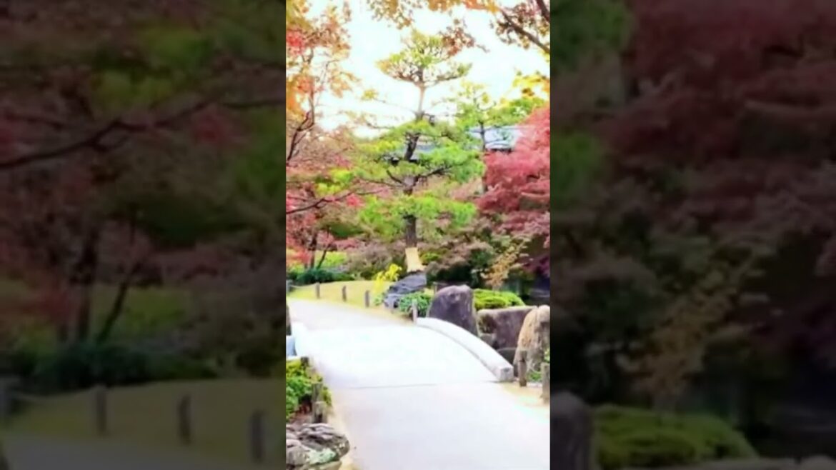 Tokugawa_park@tvideo1001     #nagoya #japan #park