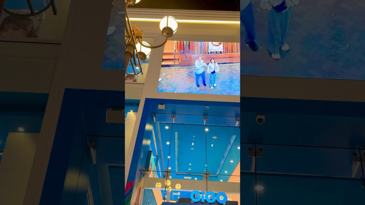 Our few seconds of fame at #dotonbori #osaka #japan #2024 #travel