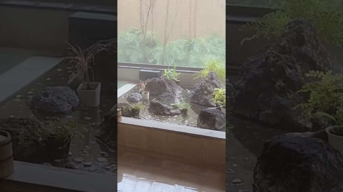 The best way to spend a snowy day in Hakone #japan #onsen #shorts