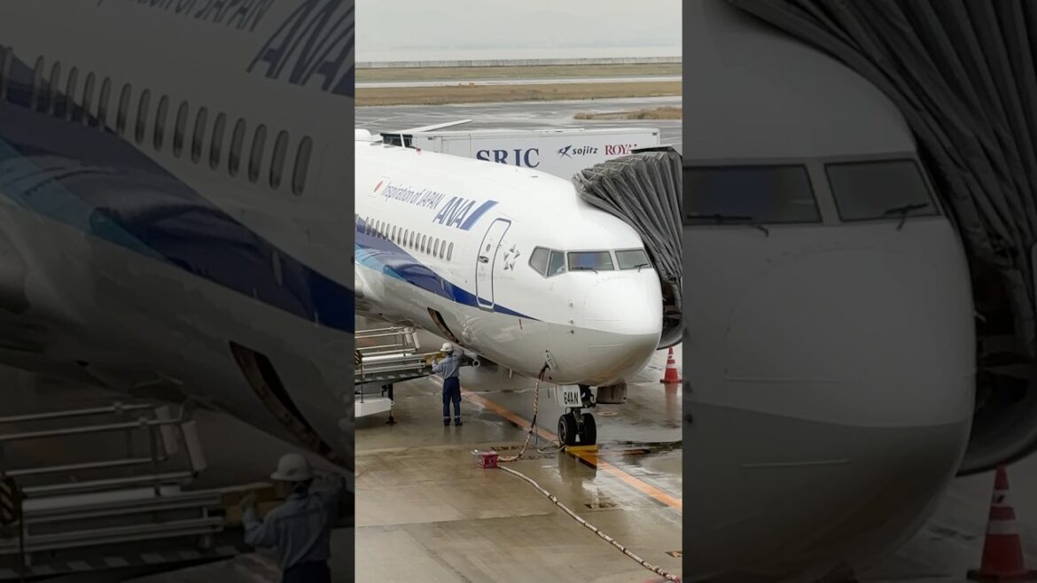 ANA Boeing 737 at KIX Osaka International airport