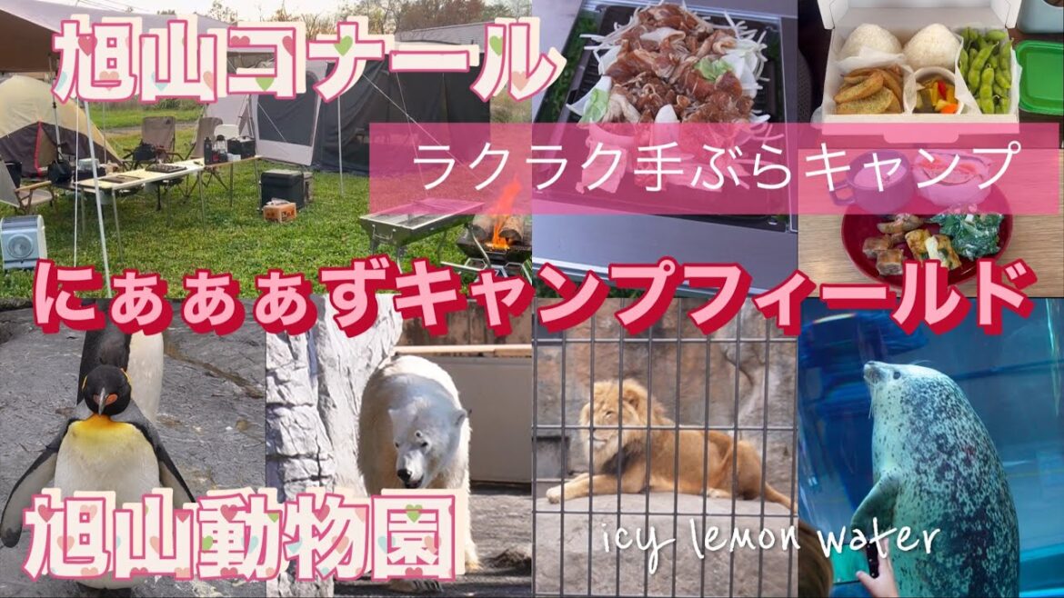 【旭山コナール Nyaaaz Camp Field】で「手ぶらキャンプ」して【旭山動物園】に行ってみた／北海道旭川市【エブリイワゴン＆ノア車中泊】 [With auto. translation]