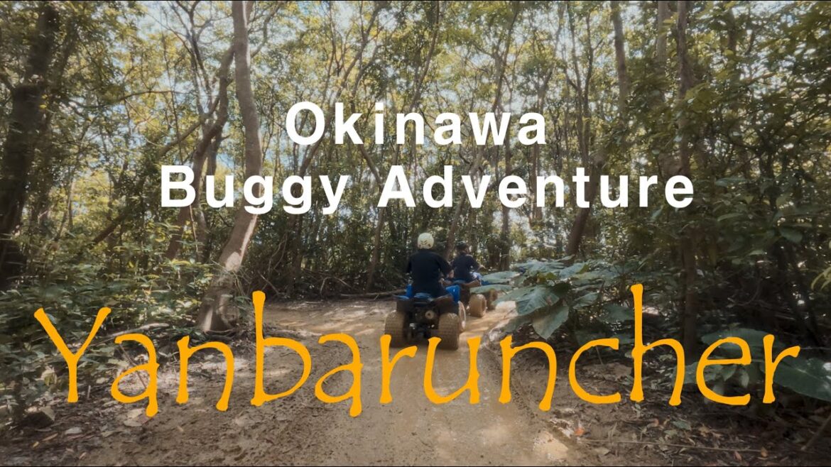 [4K] Yanbaruncher /okinawa / Yanbaru Buggy Adventure-Nago Store
