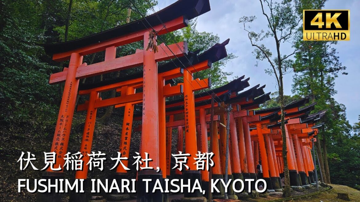 [ KYOTO ] Fushimi Inari Taisha Walking Tour, a Must Visit of #kyoto #伏見稲荷大社 #京都