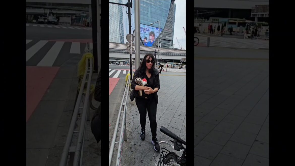 🧧SHIBUYA CROSSING🎎 with Samy and Petey #japan #adventure