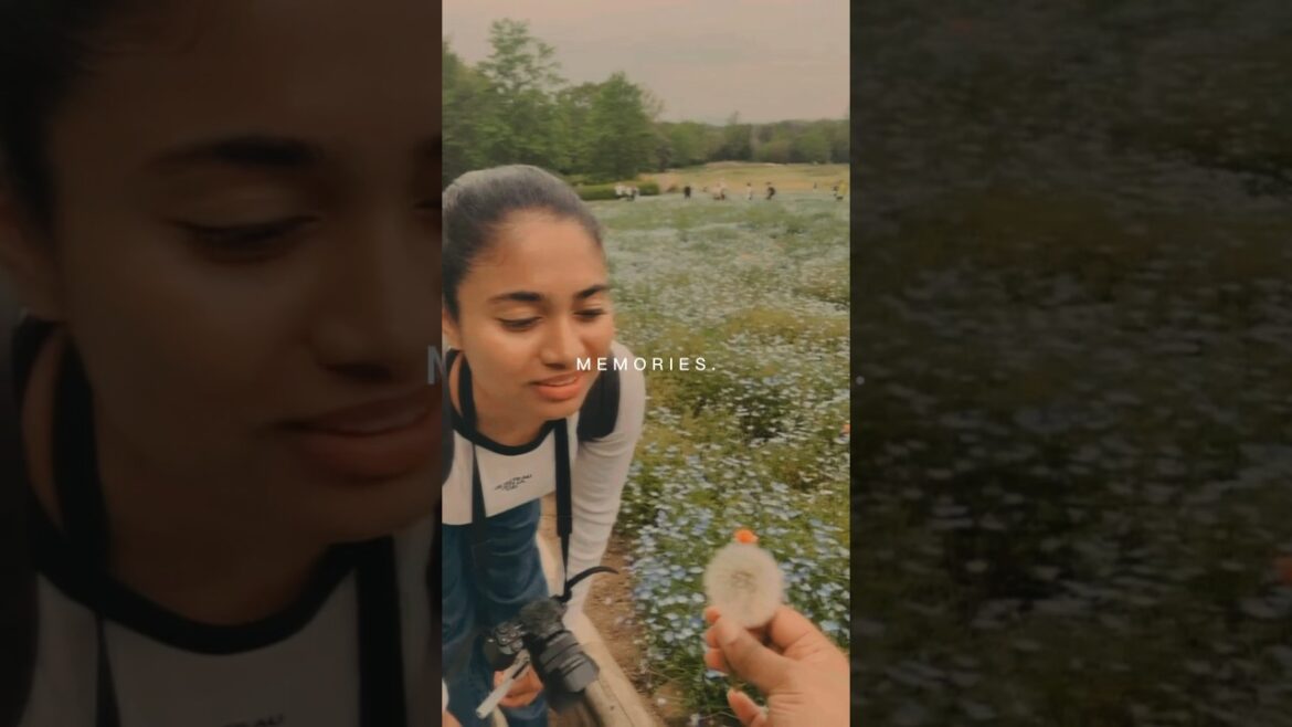 Some Moments in Japan: 🇯🇵 A Travel Diary #japan #travel #hiddengems