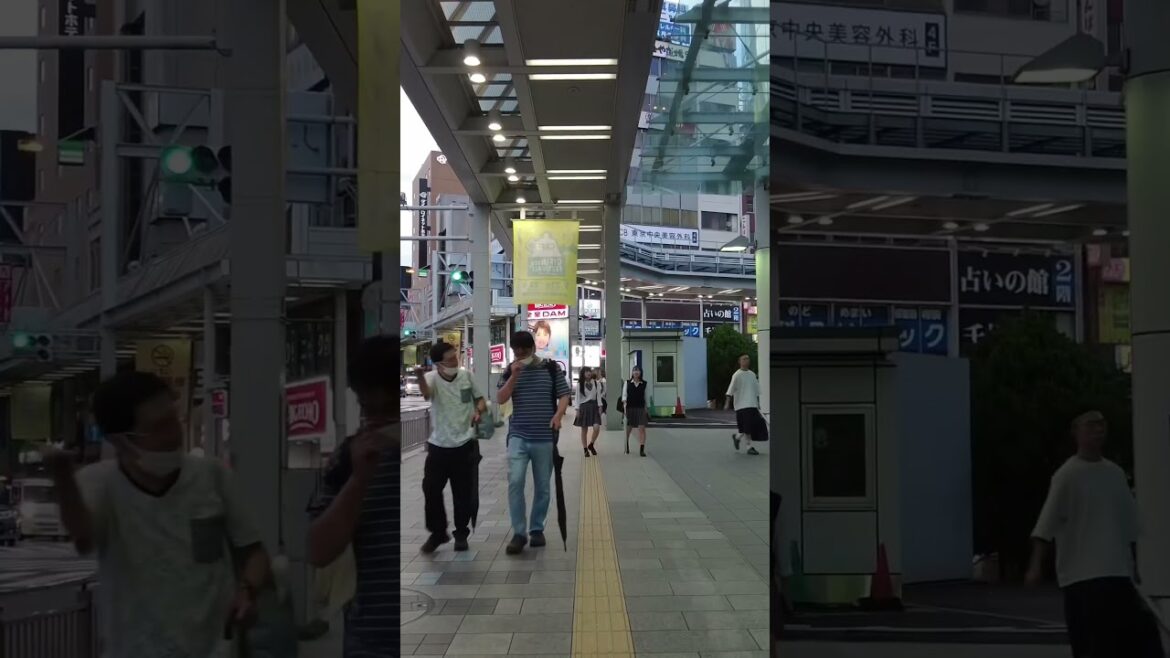 Visit to Gifu City #japanwalk #japan #japantravel
