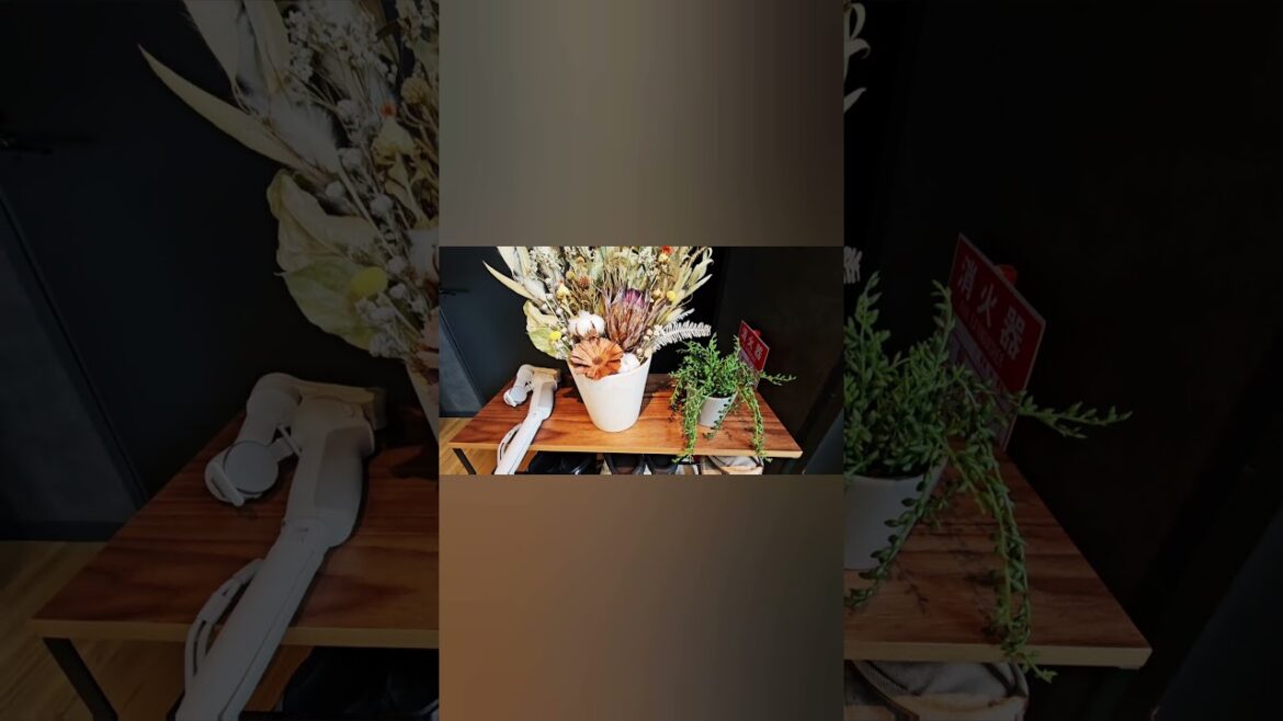 || 2024 沖澠最新網紅打卡地 || Okinawa CASA SOL || 2024 沖澠最新網紅打卡地 || Okinawa CASA SOL