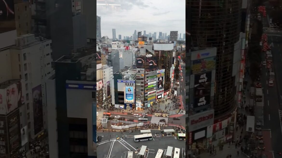 The Wild Nightlife of Shibuya, Tokyo
