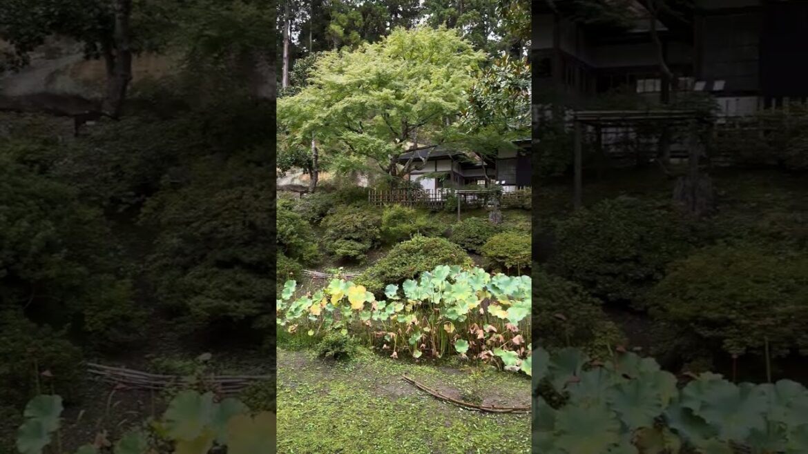 Miyagi Matsushima Zuigan-ji Back Garden