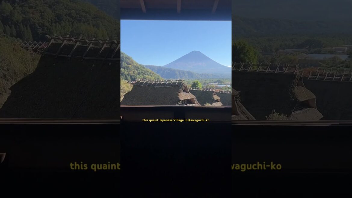 Unique viewpoint of Mt Fuji #travel #japan