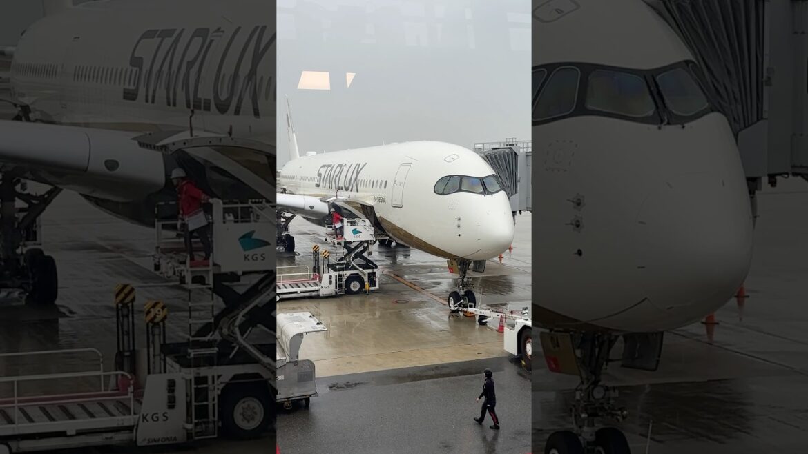Starlux Airbus A350 at KIX Osaka International airport #starlux #airbus #airbus350