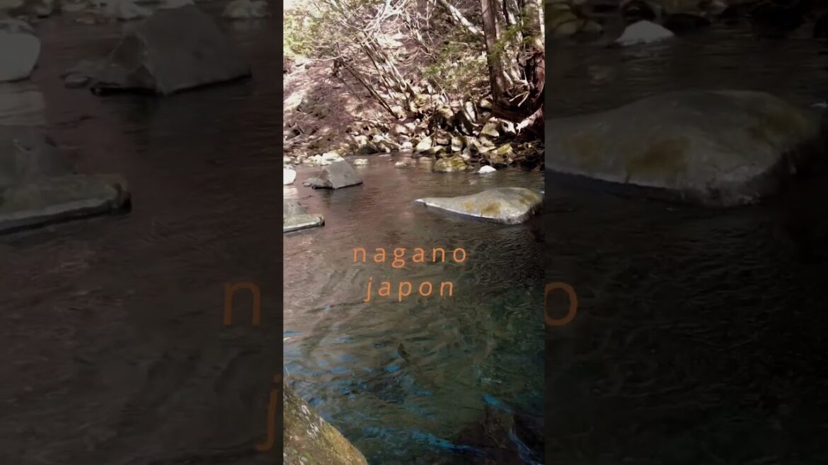 🎌🌳!INCREIBLE¡ cascadas en Nagano Japón. #japan #vidaenjapon #nature #naturaleza   #travel 🍂