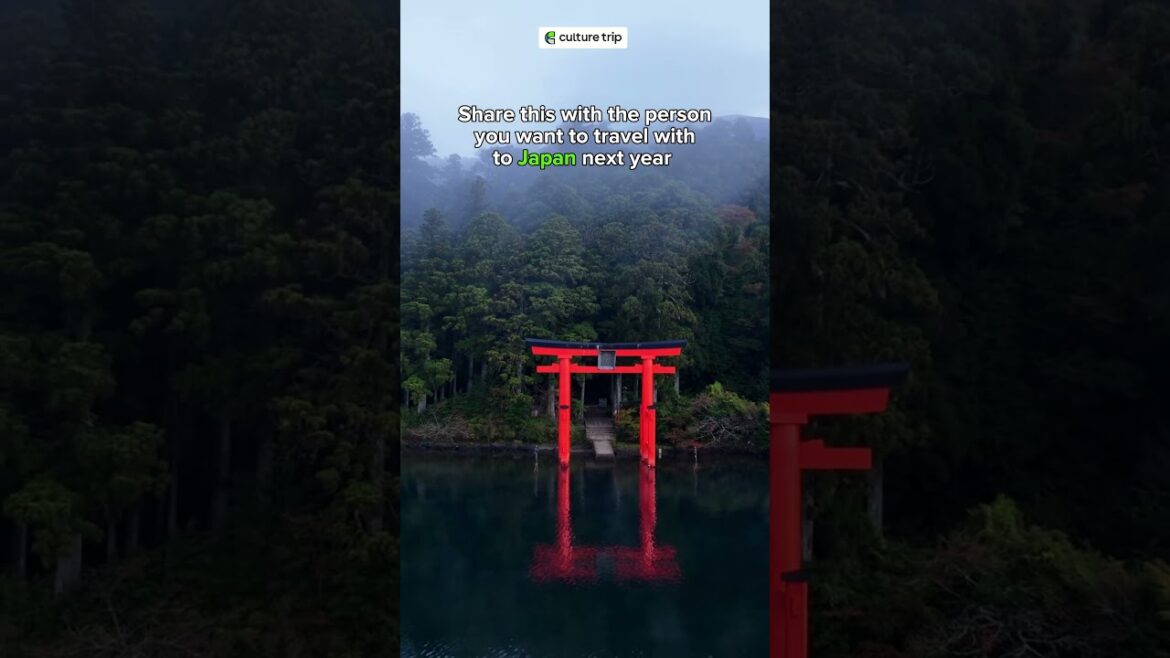 Tag your travel buddy and start planning your Japan adventure! π
πΈ #culturetrip Tag your travel buddy and start planning your Japan adventure! π
πΈ #culturetrip