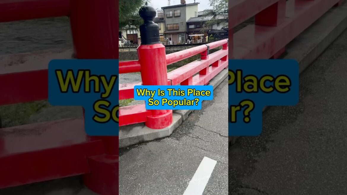 Why is this restaurant so popular in Takayama, Japan? #japan #travel #takayama #fyp #viral Why is this restaurant so popular in Takayama, Japan? #japan #travel #takayama #fyp #viral