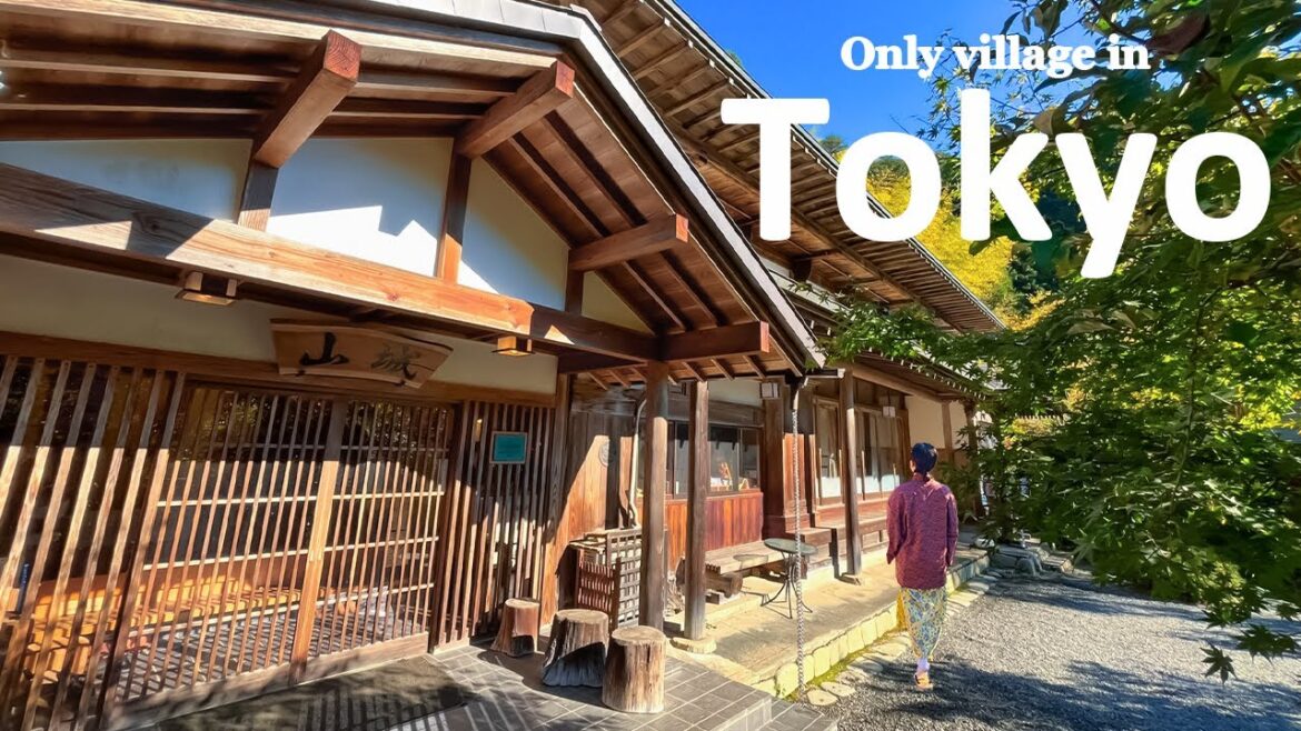 Staying The Only Village in Tokyo, 90 Minutes from Shinjuku | Hinohara Village | JAPAN TRAVEL VLOG