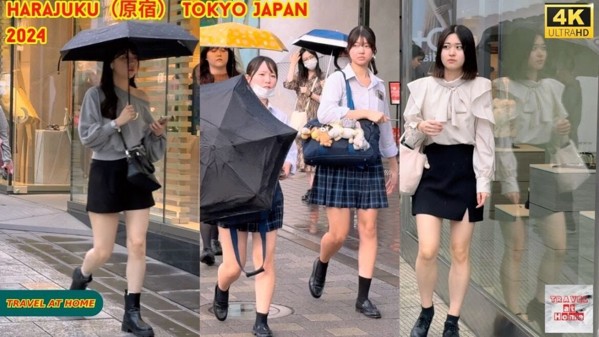 4k hdr japan travel 2024 | Walk in Harajuku（原宿）Tokyo Japan |  Relaxing Natural City ambience