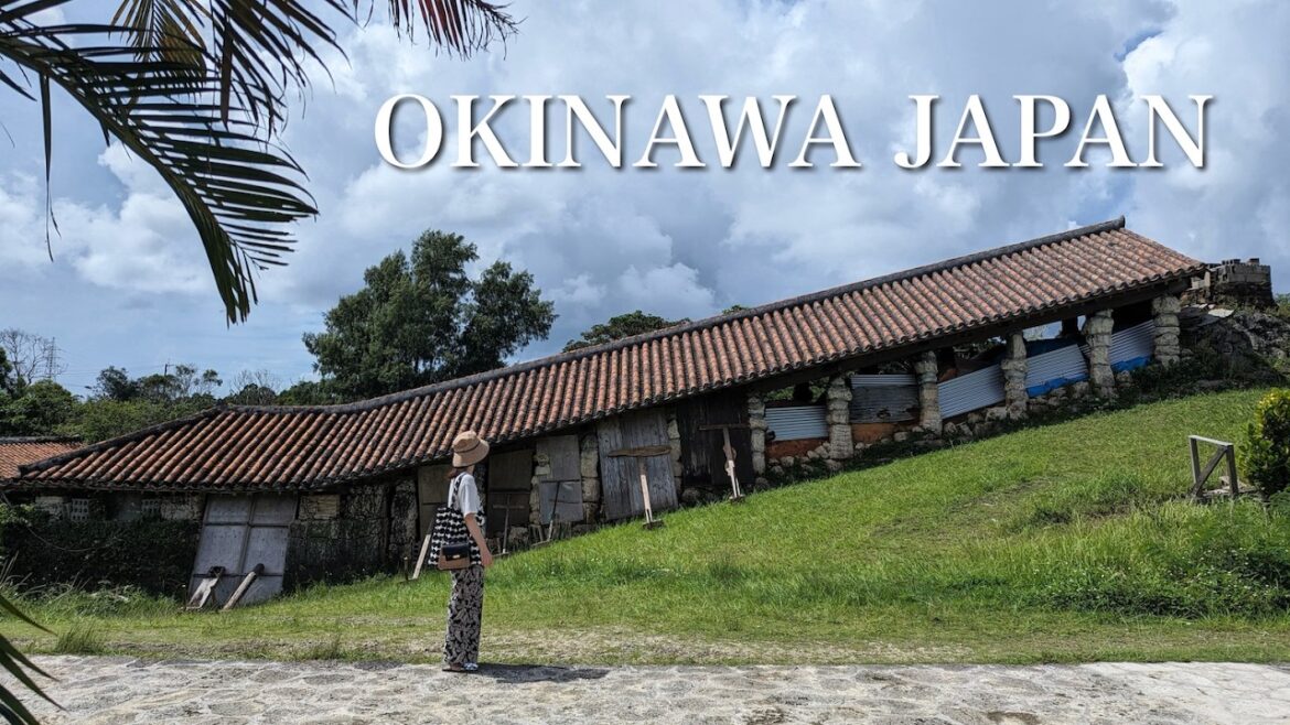 【沖縄旅行③】今すぐ行きたい絶景スポット！沖縄の魅力溢れるアイテムを爆買い！